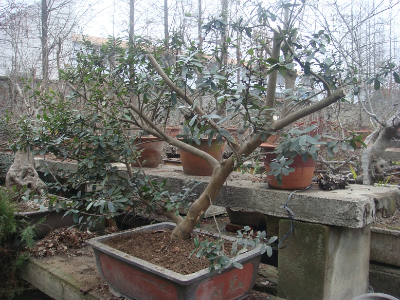 DSC06795.jpg