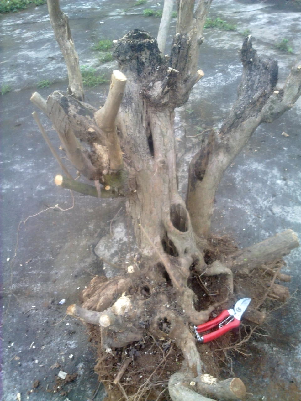 201403071609.jpg