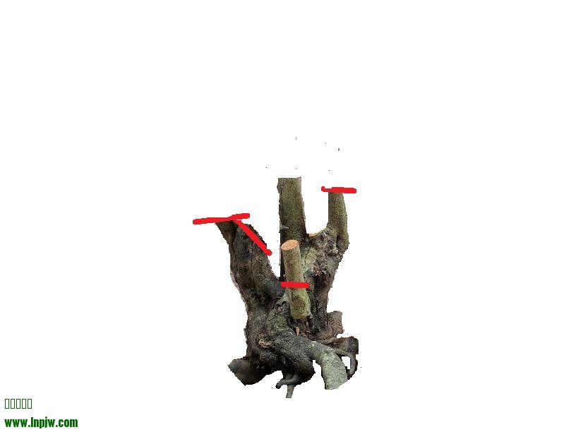 213806e6twyyjwaayaluya.jpg.thumb.jpg