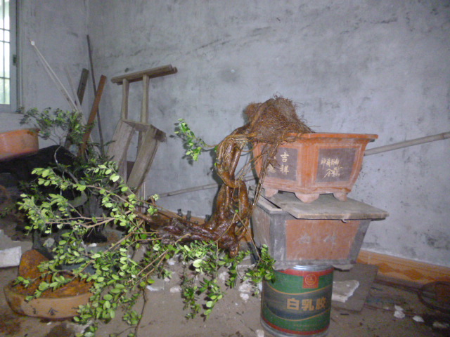 P1090769.JPG
