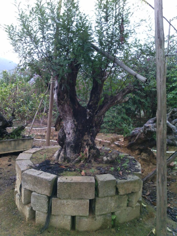 QQͼƬ20140308151656.jpg