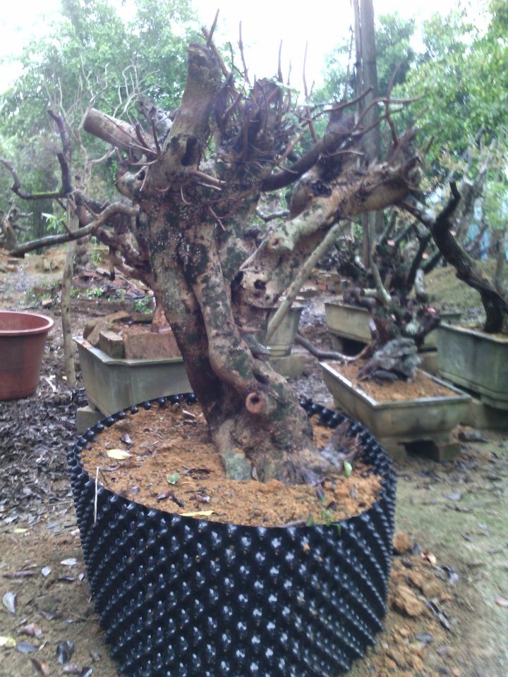 QQͼƬ20140308151707.jpg