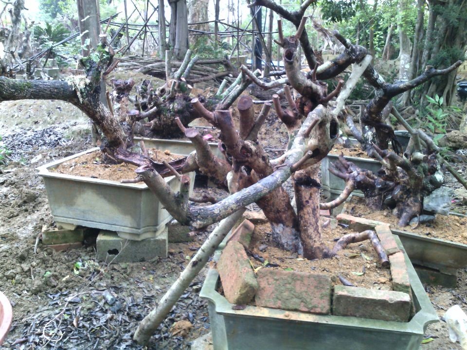 QQͼƬ20140308151831.jpg