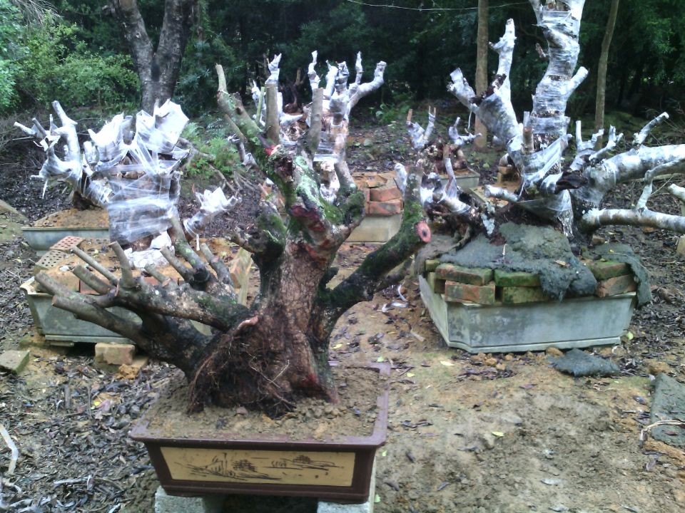 QQͼƬ20140308151846.jpg