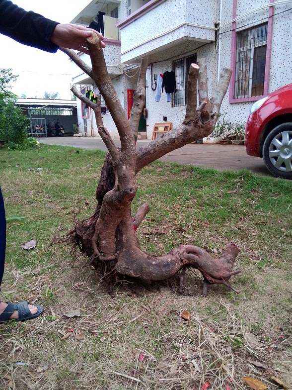 IMG20140308ţ2.jpg
