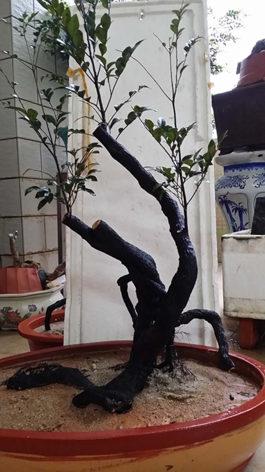 20140308_172843_.jpg