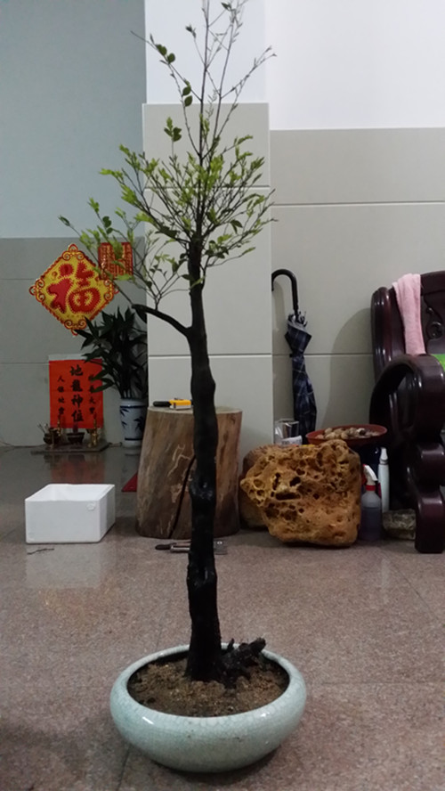 20140307_211240_.jpg