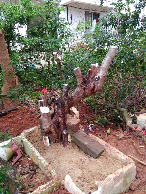 IMG20140309ţ12.jpg