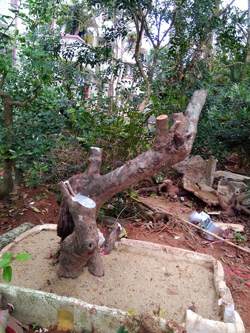 IMG20140309ţ9.jpg