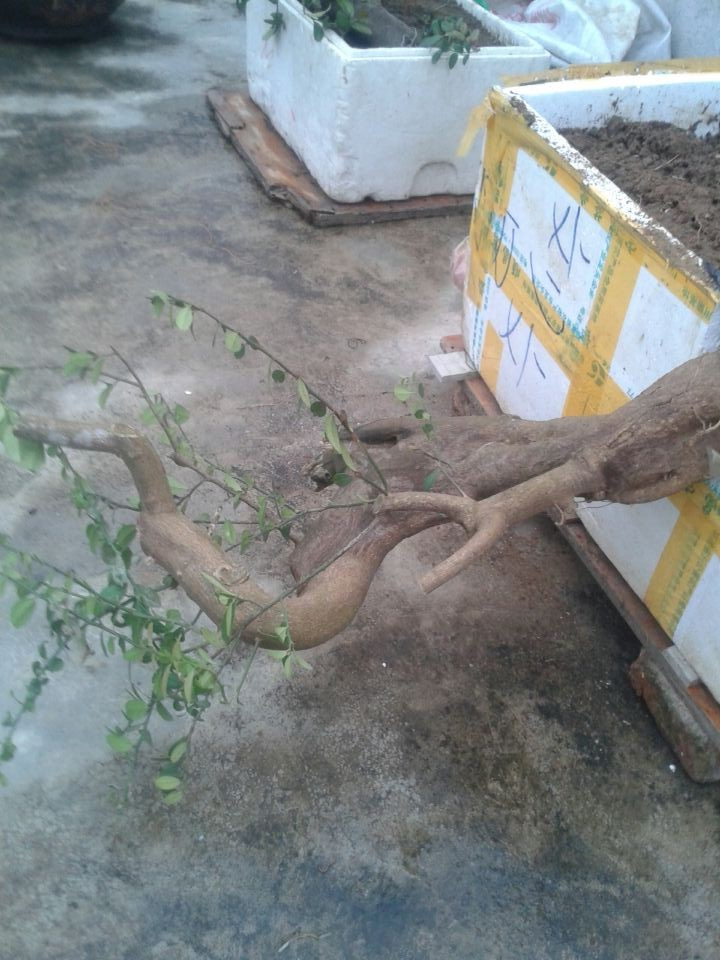 QQͼƬ20140309181027_ת.jpg