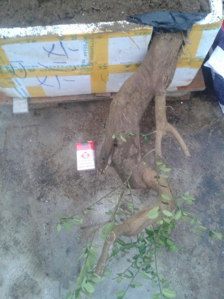 QQͼƬ20140309181041_ת.jpg