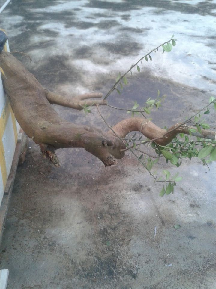 QQͼƬ20140309181211_ת_ת.jpg
