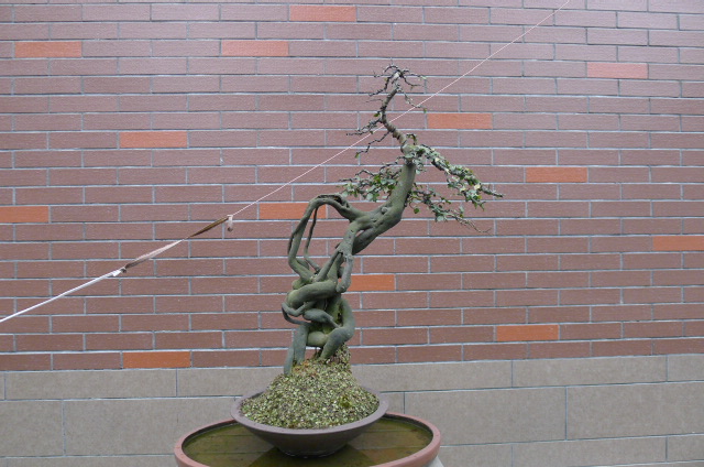 P1020924.JPG