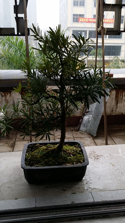 20140311_104105_.jpg