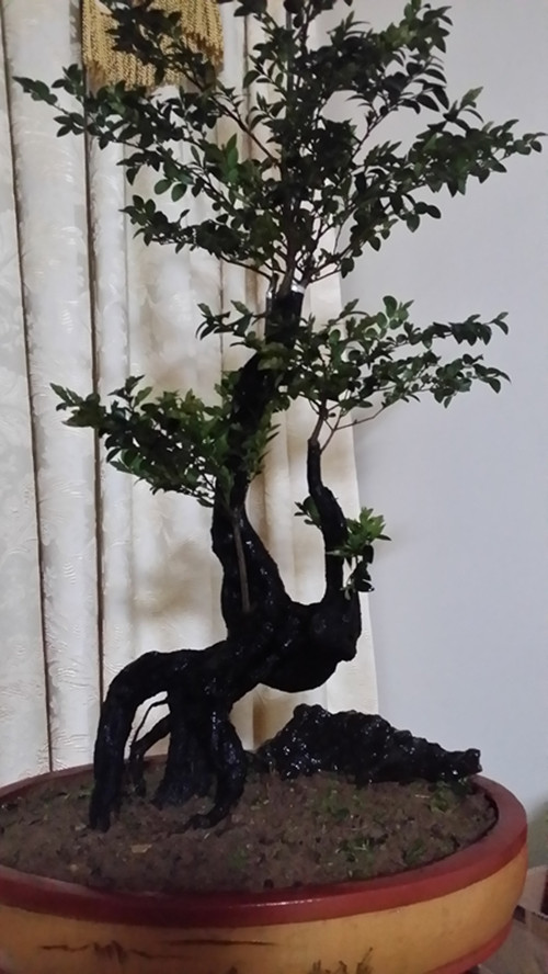 20140310_192153_.jpg
