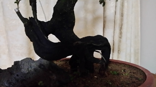 20140310_232710_.jpg
