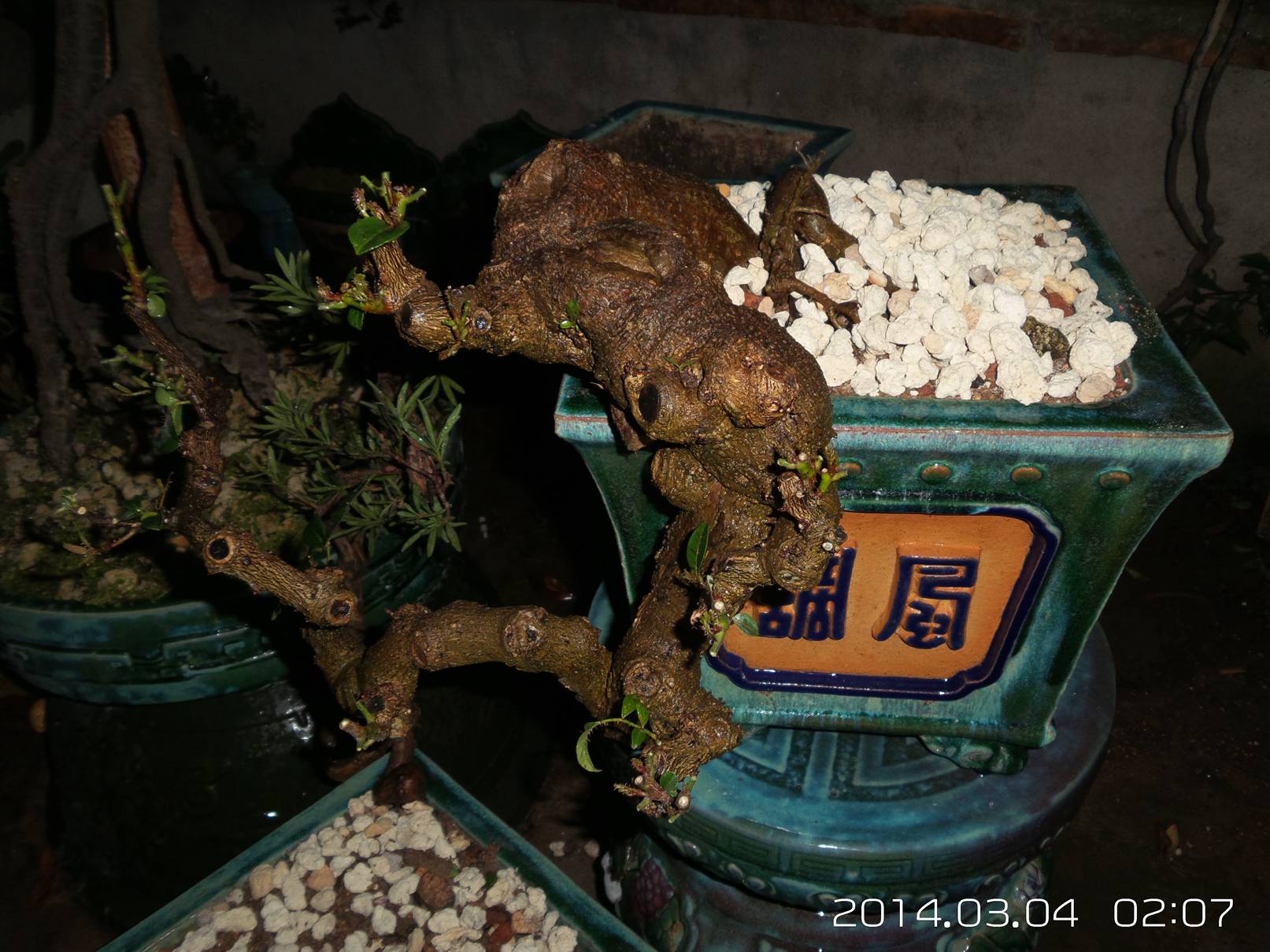 20140304_020733.jpg