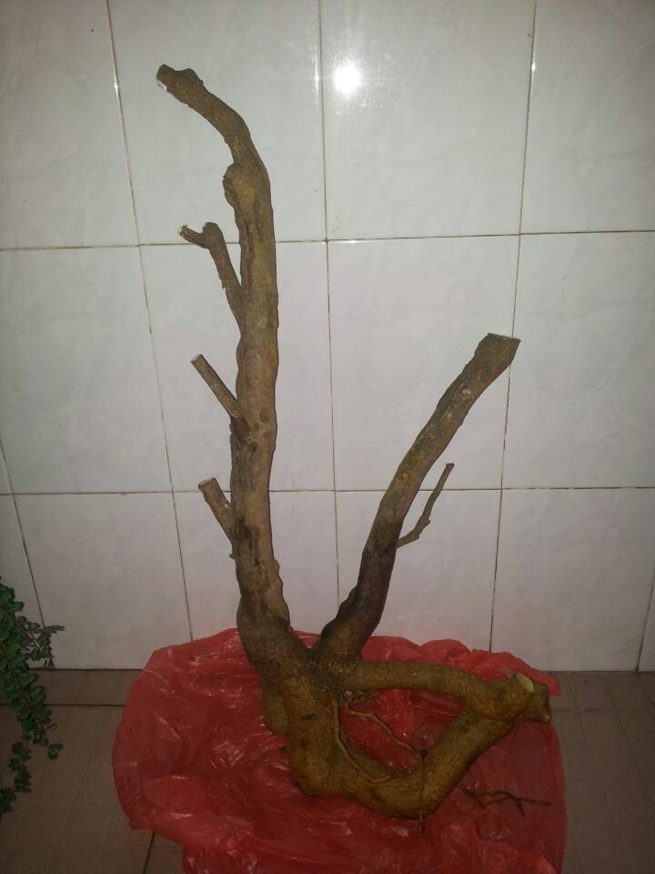 QQͼƬ20140311190535.jpg