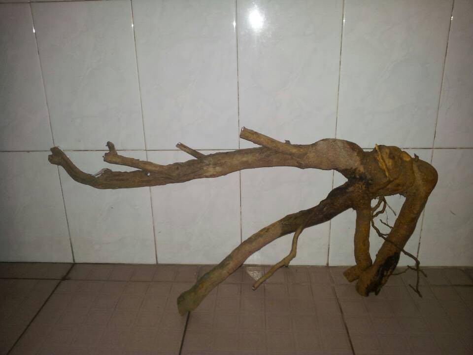 QQͼƬ20140311190539.jpg