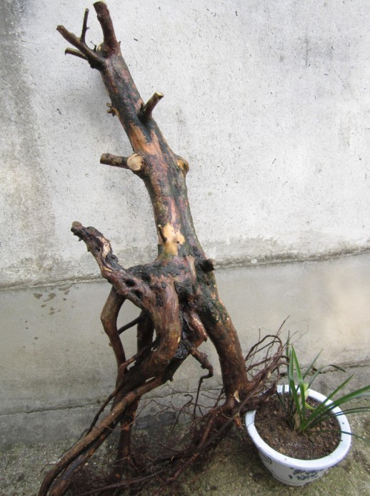 QQͼƬ20140311190829.jpg