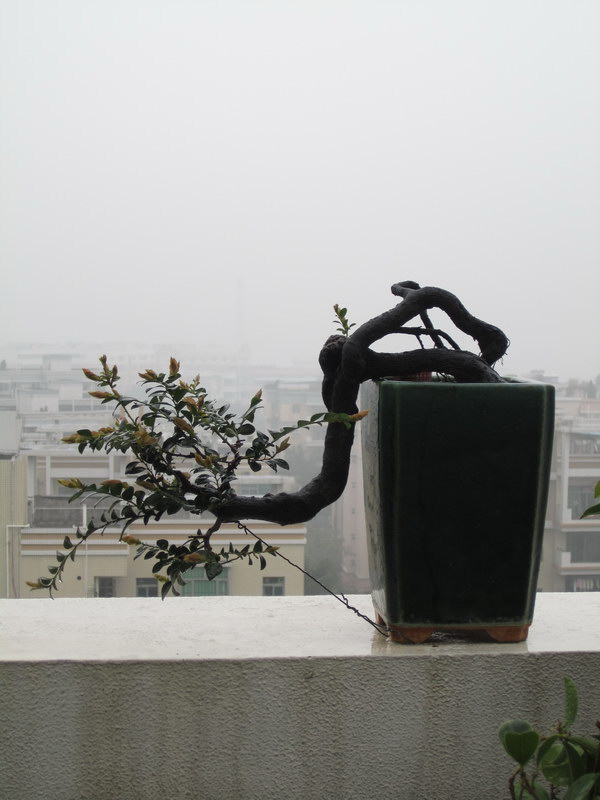 ڹ2014괺_11.jpg