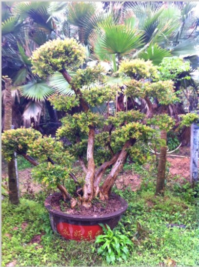 QQͼƬ20140311144507.jpg
