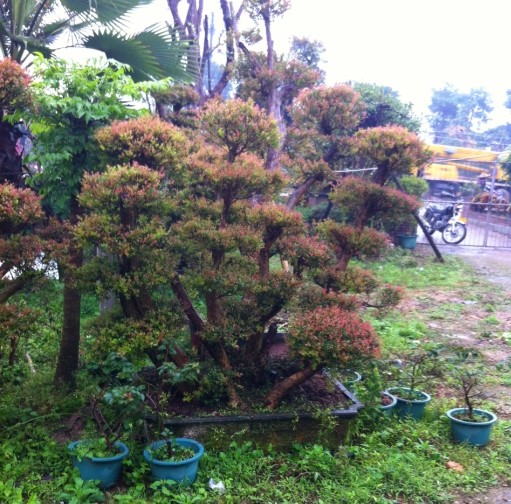 QQͼƬ20140311144515.jpg