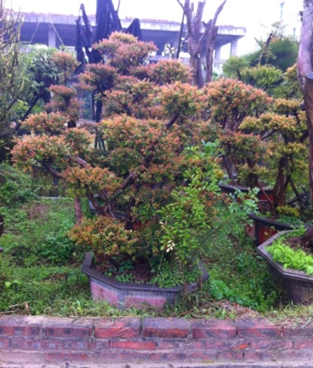 QQͼƬ20140311144534.jpg