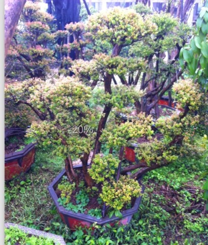 QQͼƬ20140311144542.jpg