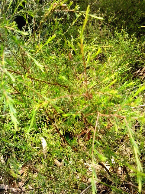 20140312_105429_.jpg
