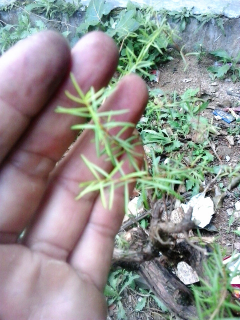 20140312_135203_.jpg