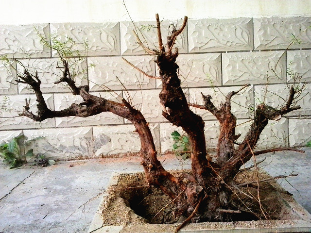 20140312_124235_.jpg