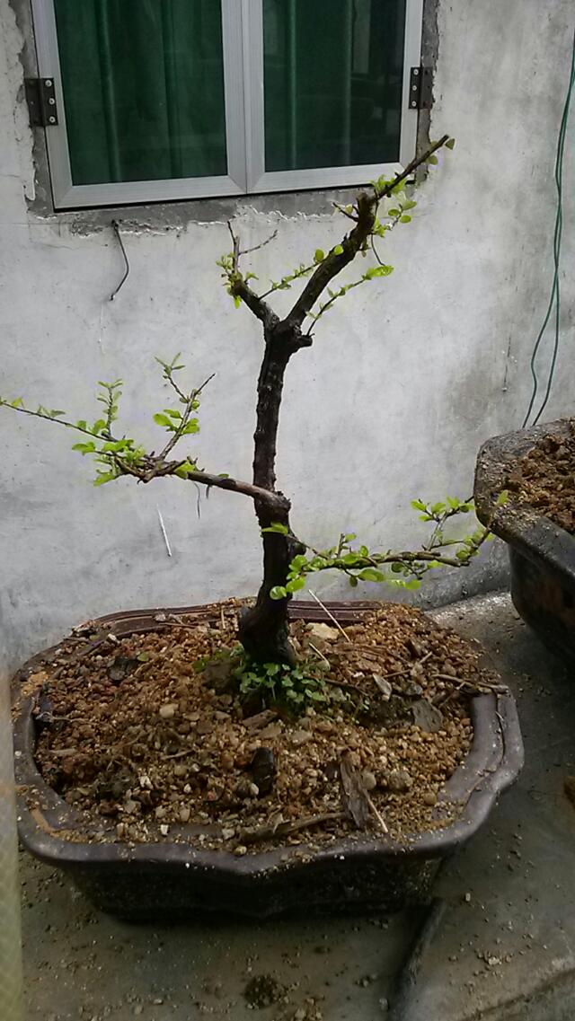 ľϵ׮.СƷ.