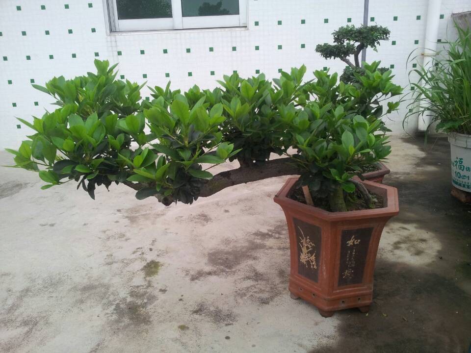 QQͼƬ20140312213429.jpg