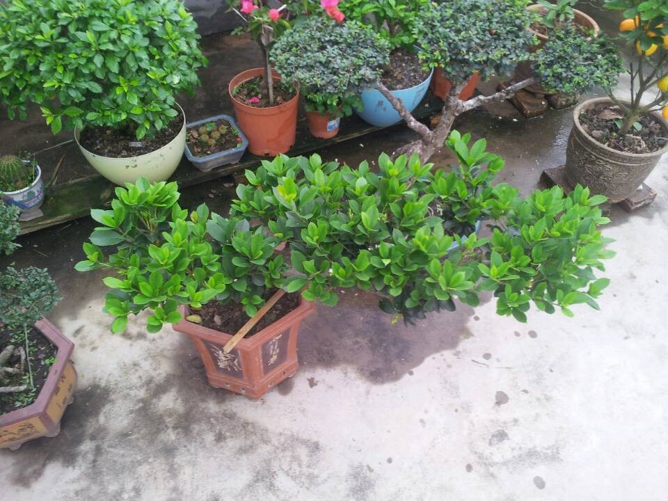 QQͼƬ20140312213331.jpg