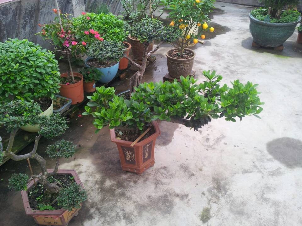 QQͼƬ20140312213346.jpg