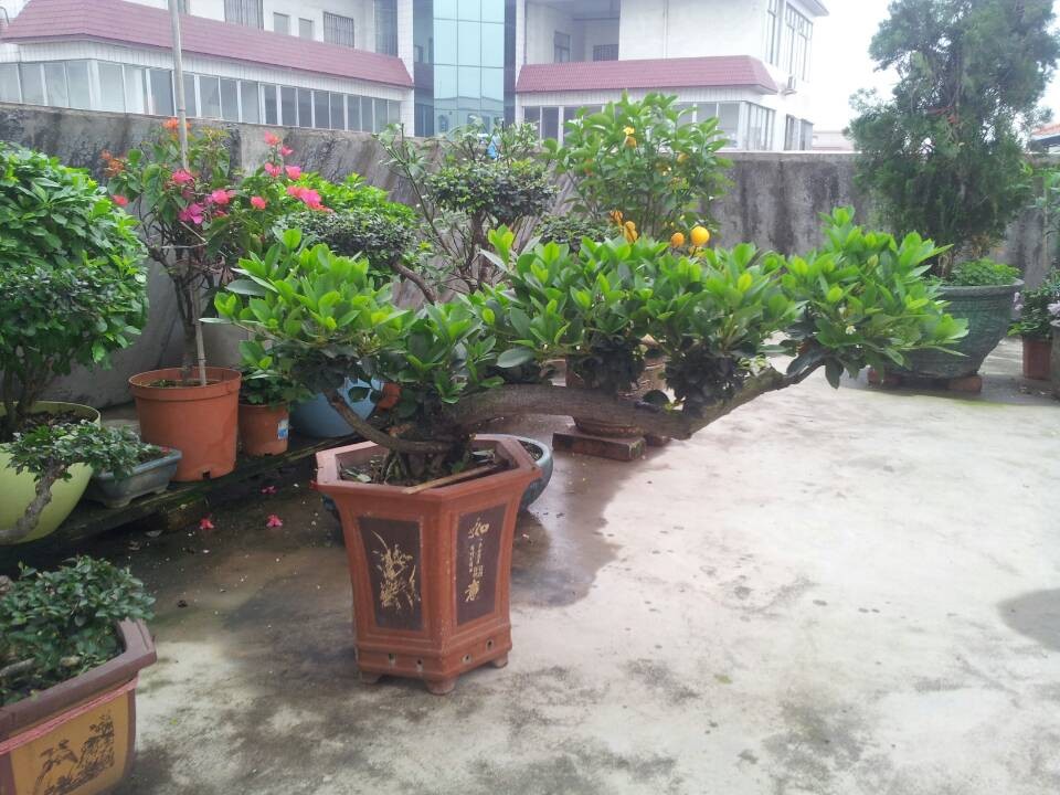 QQͼƬ20140312213400.jpg