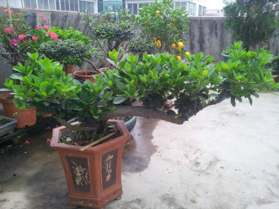 QQͼƬ20140312213413.jpg
