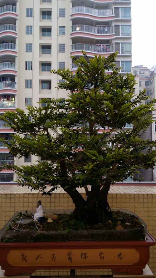 20140311_180429_.jpg