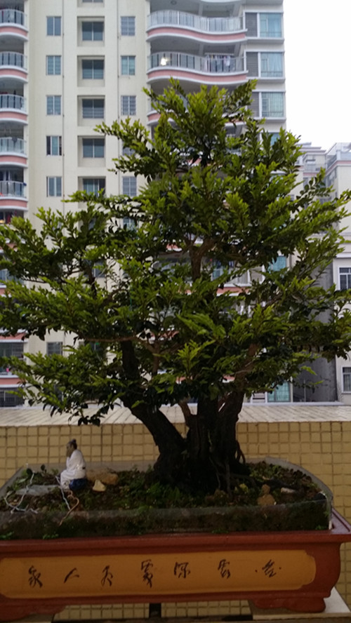 20140311_180502_.jpg