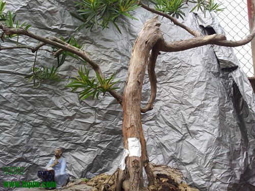 20140313_170232_.jpg