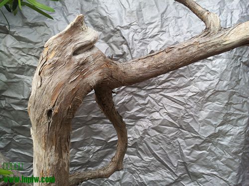 20140313_170240_.jpg