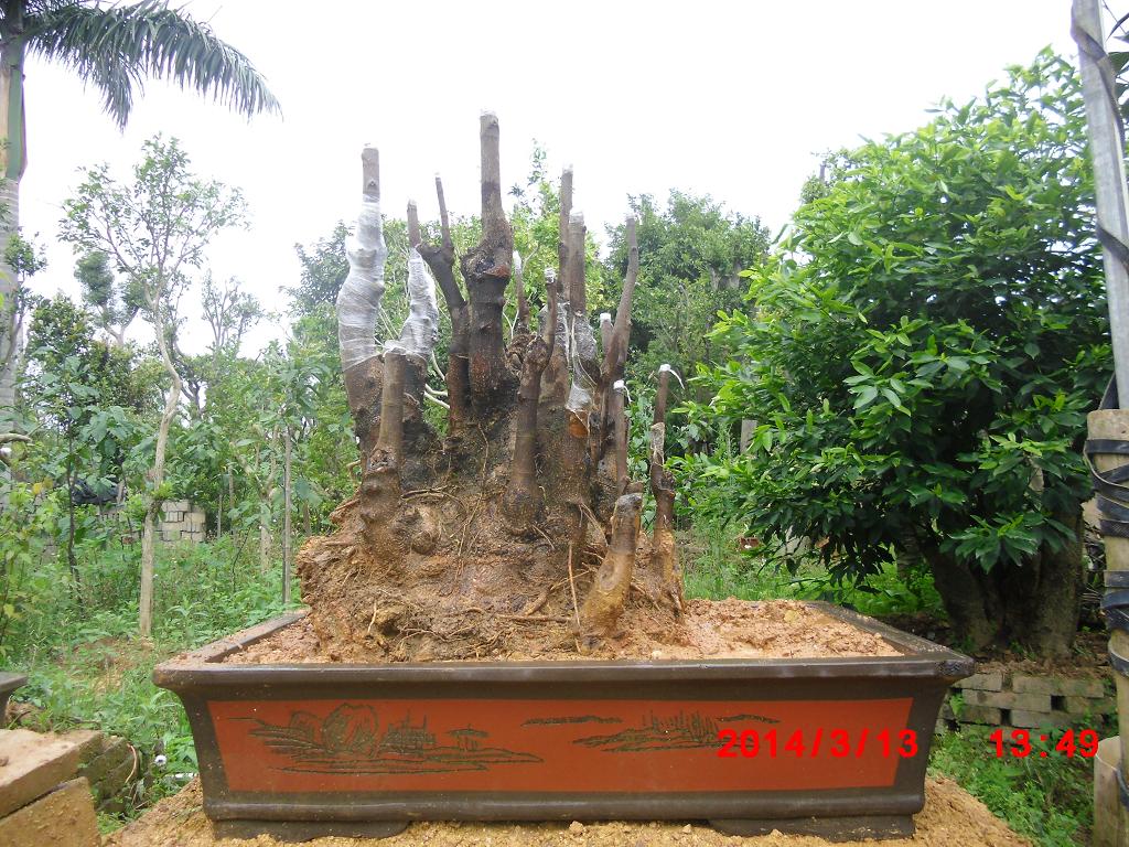 ˳1.JPG