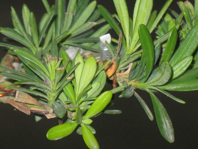 IMG_7845.JPG