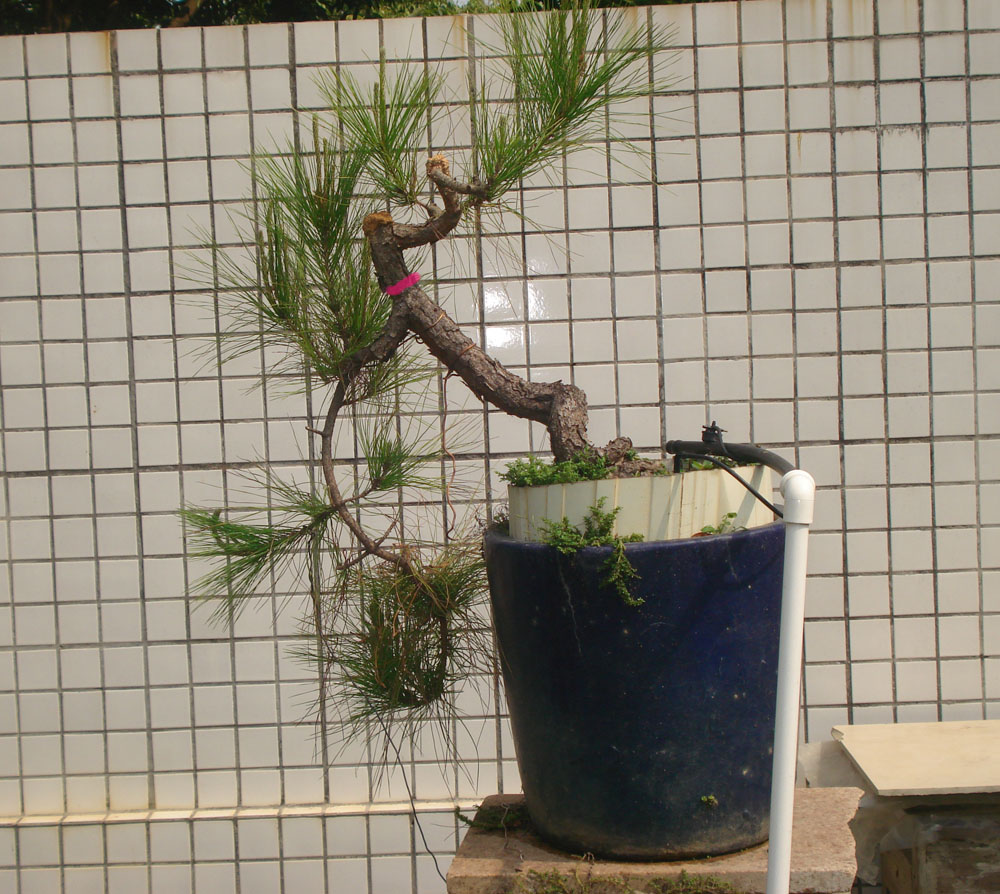 2014.3.13.JPG