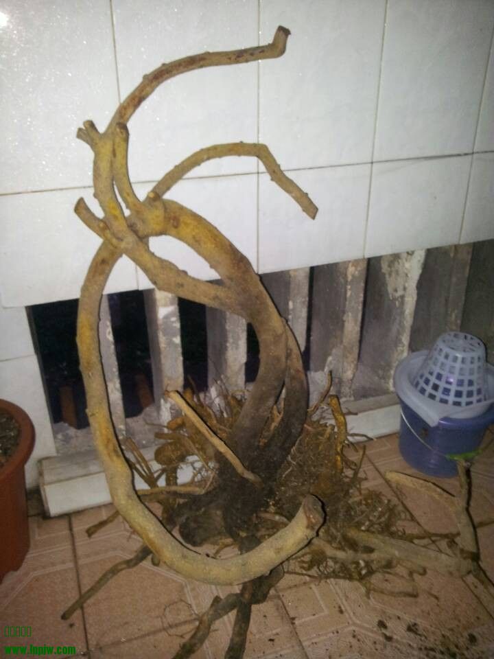 QQͼƬ20140312230227.jpg