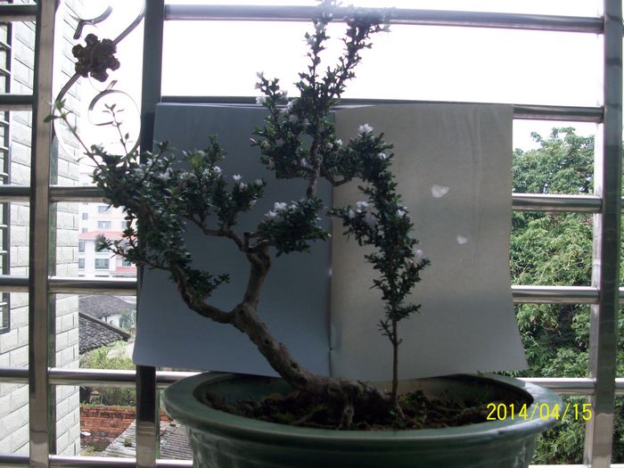 nEO_IMG_100_4480.jpg
