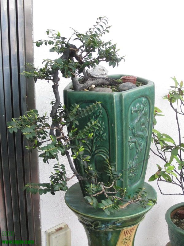 ڹ2014괺_02.JPG