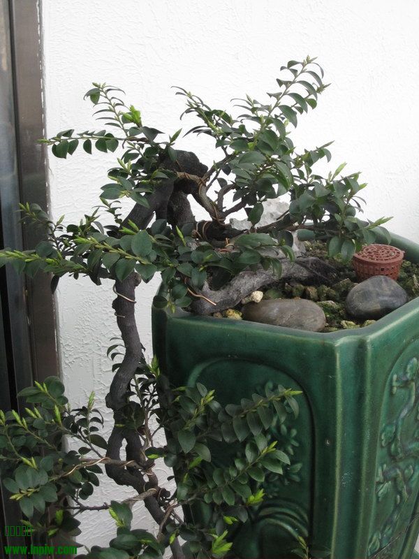 ڹ2014괺_03.JPG