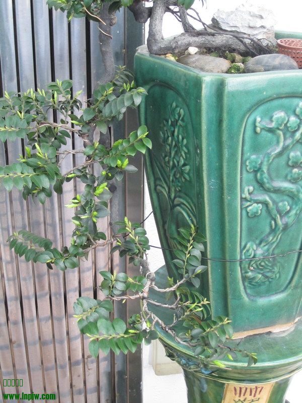 ڹ2014괺_04.JPG
